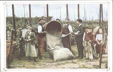 Vintage Style Hop Picking