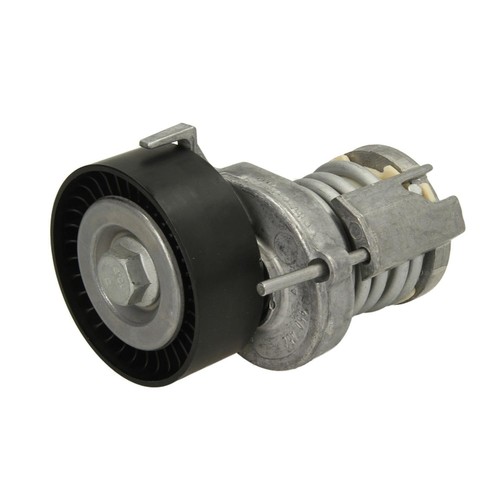 Tensioner pulley ribbed - tensioner, pulley,