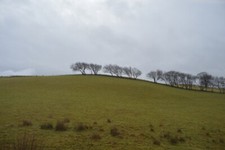 Photo 6x4 Grazing land