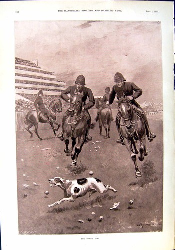 Old 1901 derby horse racing - old,