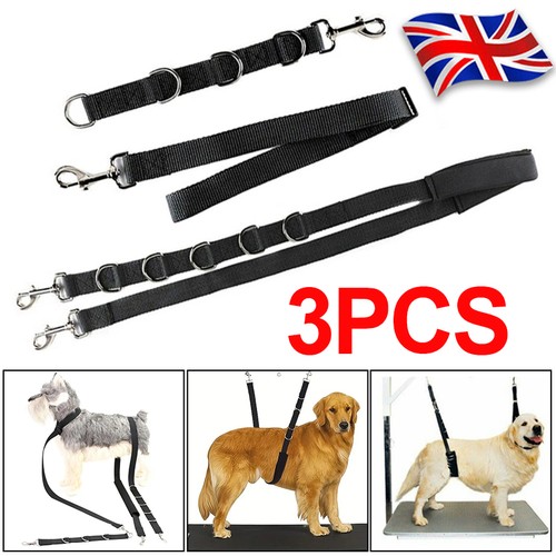 Band safety belt dog - band,