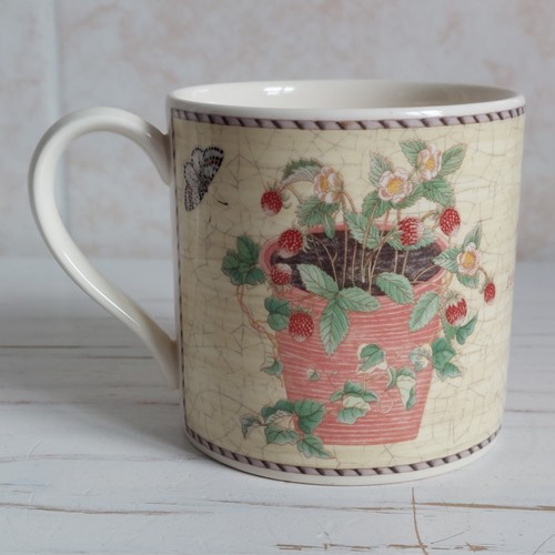 Wedgwood sarahs garden - wedgwood,
