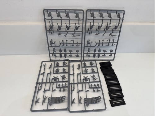 Bretonnian knights the - bretonnian,