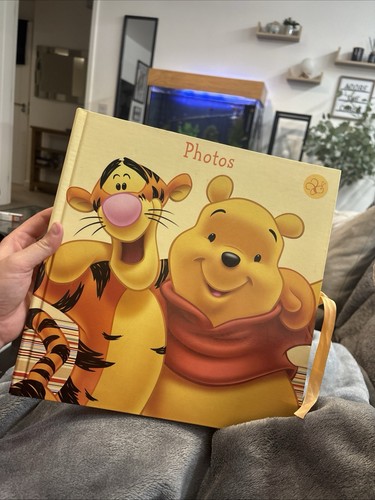 Disney winnie the pooh - winnie, photo