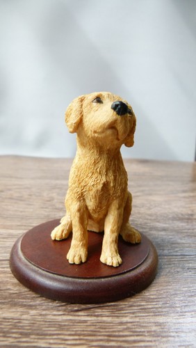 Small labrador puppy - small,