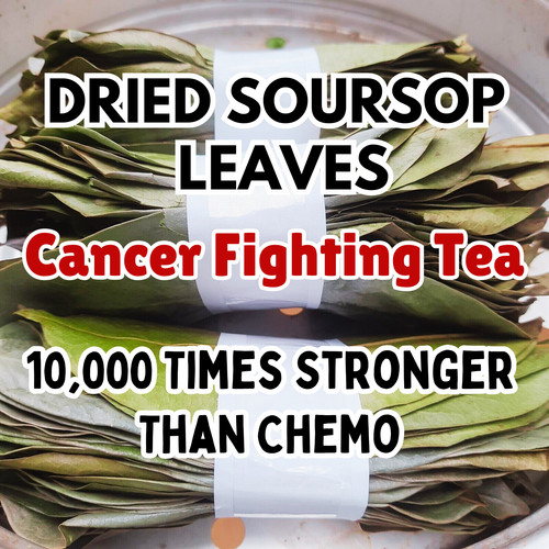 Dried soursop leaf - dried, organic