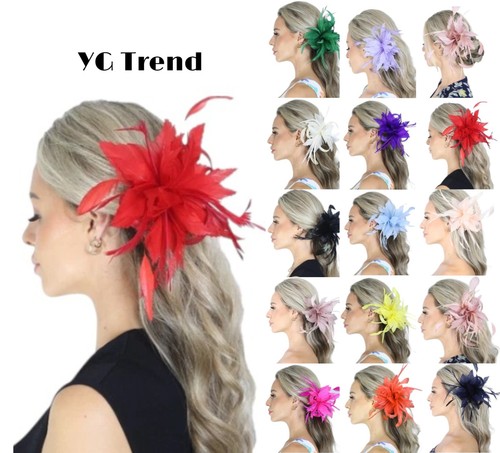Ladies feather fascinator hair - feather,