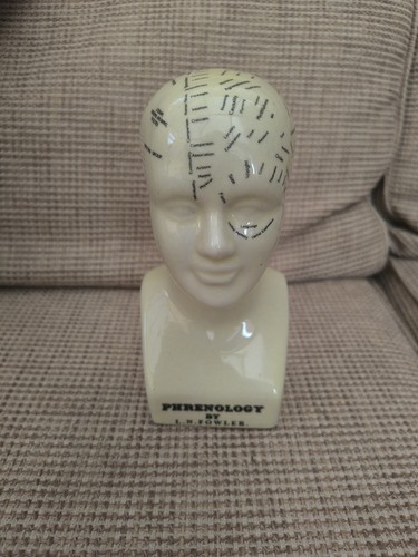 Phrenology head fowler - head,