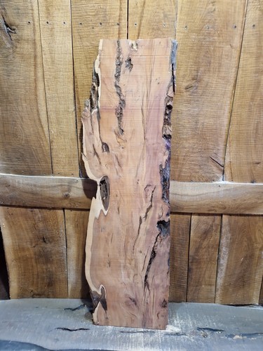 Live edge yew - live, (369)