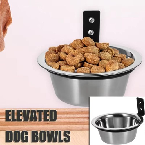 Wall mounted pet - wall, bowl