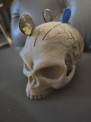 Skull guitar pick - guitar,