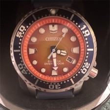 New Citizen Promaster