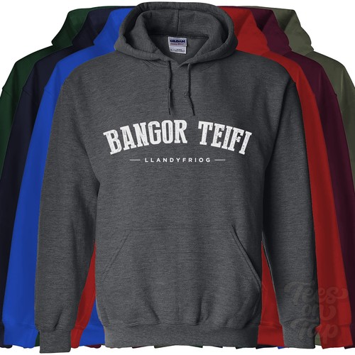Bangor teifi llandyfriog - bangor,