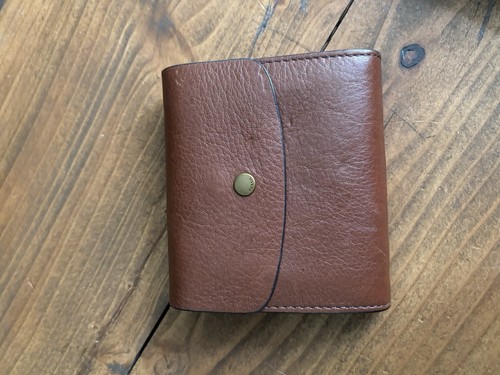 Brown fossil purse - fossil,