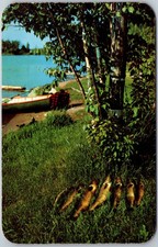 Vacationland Scene Walleyed