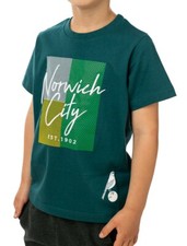 Norwich City T Shirt Boys 4 5 Years Kids OFFICIAL Football Top NCT41