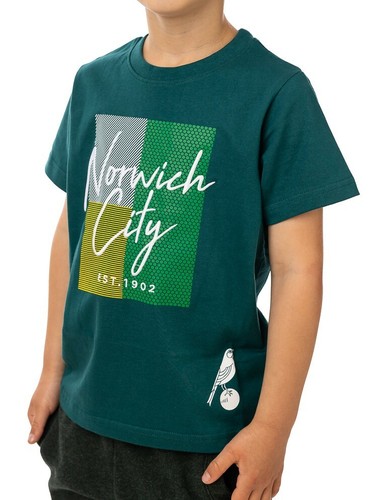 Norwich city shirt boys - city,