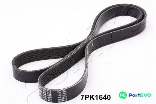 Ashika ribbed belt - ashika,