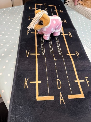 Toy horse dressage arena - toy,