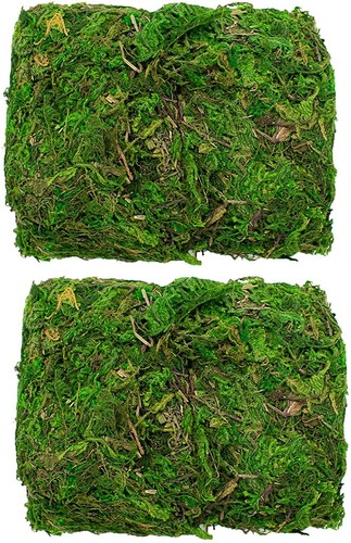 Trixes decorative dried green - trixes,