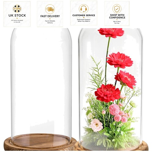 Hand blown glass cloche - glass,