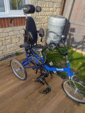 Tomcat Trike Special Needs with Supervision Handle