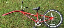 Trek Mountain Train Bike