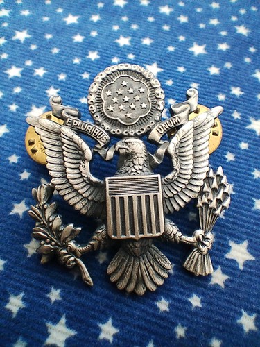 Vtg usaf cap badge - vtg,
