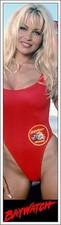 BAYWATCH BOOKMARKS DAVID