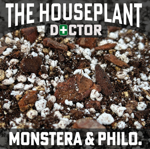 Monstera philodendron - monstera,