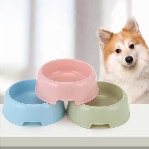 Dog cat candy coloured - dog/cat,
