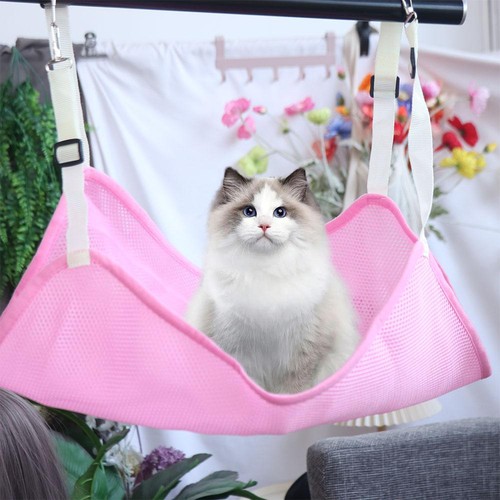 Cat hanging hammock - hanging,
