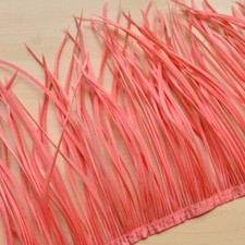 Goose Biot Feathers Colourful