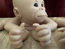 Bindi Chimp Reborn Kit –