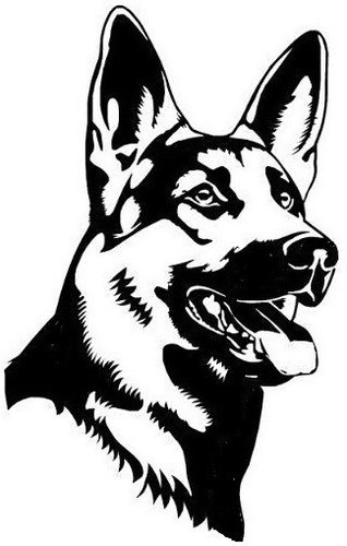 Large german sheperd dog - german,