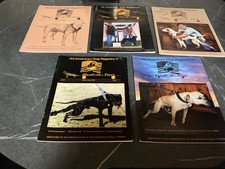 American pitbull terrier