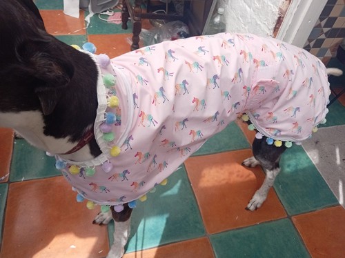 Handmade greyhound fun summer