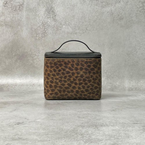 Loewe vanity bag leopard print - vanity,