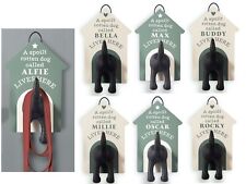 Pre Personalised Dog Lead Hook