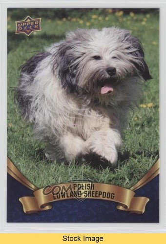 2018 upper deck canine - 2018,
