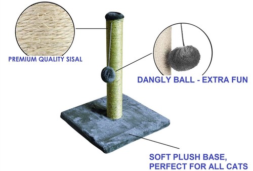 Cat scratching post scratch - cat,