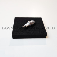 Air Filter, Spark Plug Service