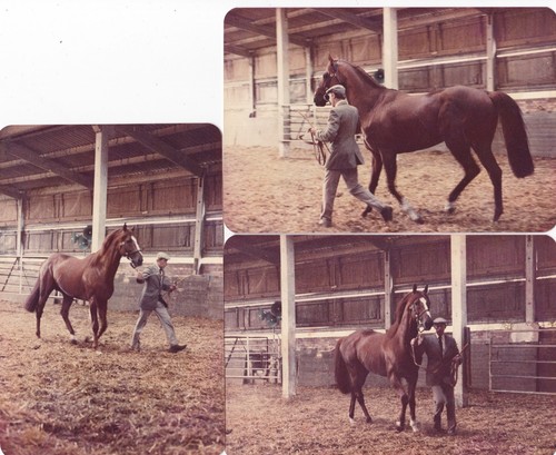 Three vintage colour - three,