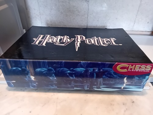 Harry potter 2007 chess - harry,