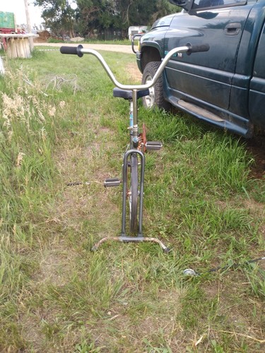 Exercise bike - exercise,