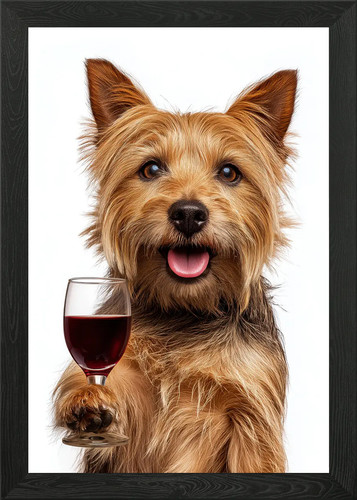 Australian terrier dog - terrier,
