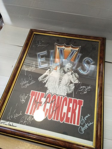 Elvis the concert poster - elvis,