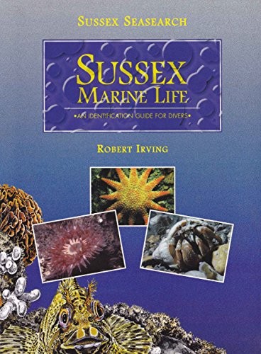 Sussex marine life - marine,