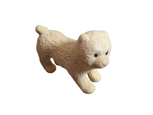 Pomeranian puppy textured tan - puppy,