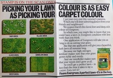 FISONS 'Evergreen' Lawn Fertilizer with Weed Killer ADVERT 1980s Print 703/134
